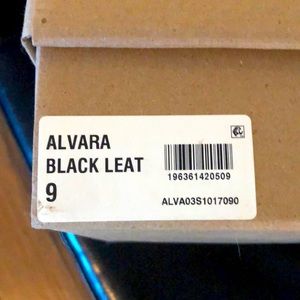 Steve Madden never worn new